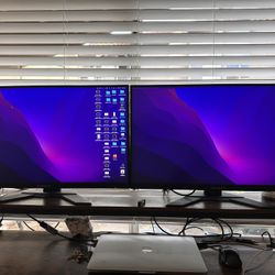 Dual Gigabyte Monitors 