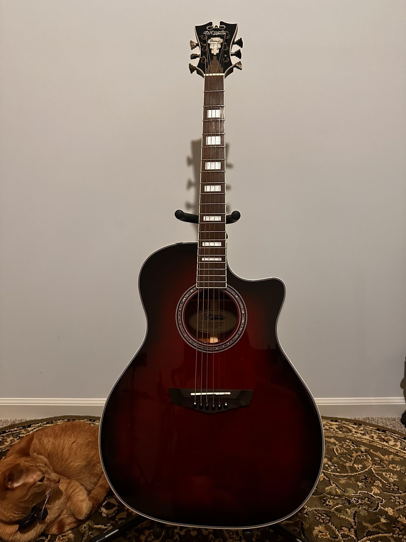 Acoustic/Electric Guitar, D’Angelico