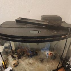 Fish Tank And Accessories 