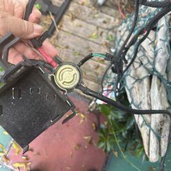 Harley Davidson harness check numbers to be sure I think this is all from Vrod