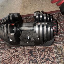 Adjustable Dumbbells BowFlex 