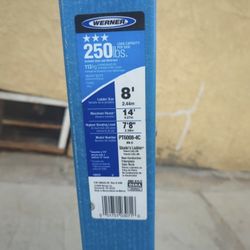 Werner Ladder With Wheels