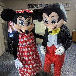 Mickey & Minnie Costume
