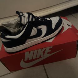 Nike Dunks Low Retro 