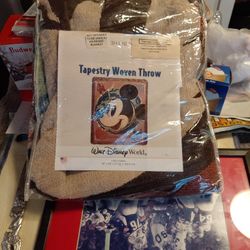 Walt Disney Wold  Tapestry 