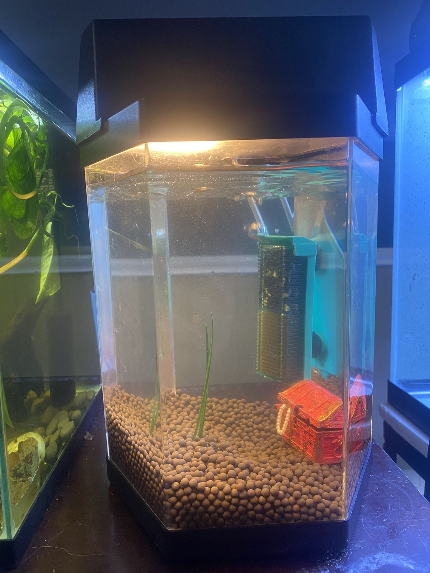 1.5 Gallon Fish Tank Hexagon With Brightness Changing Light 