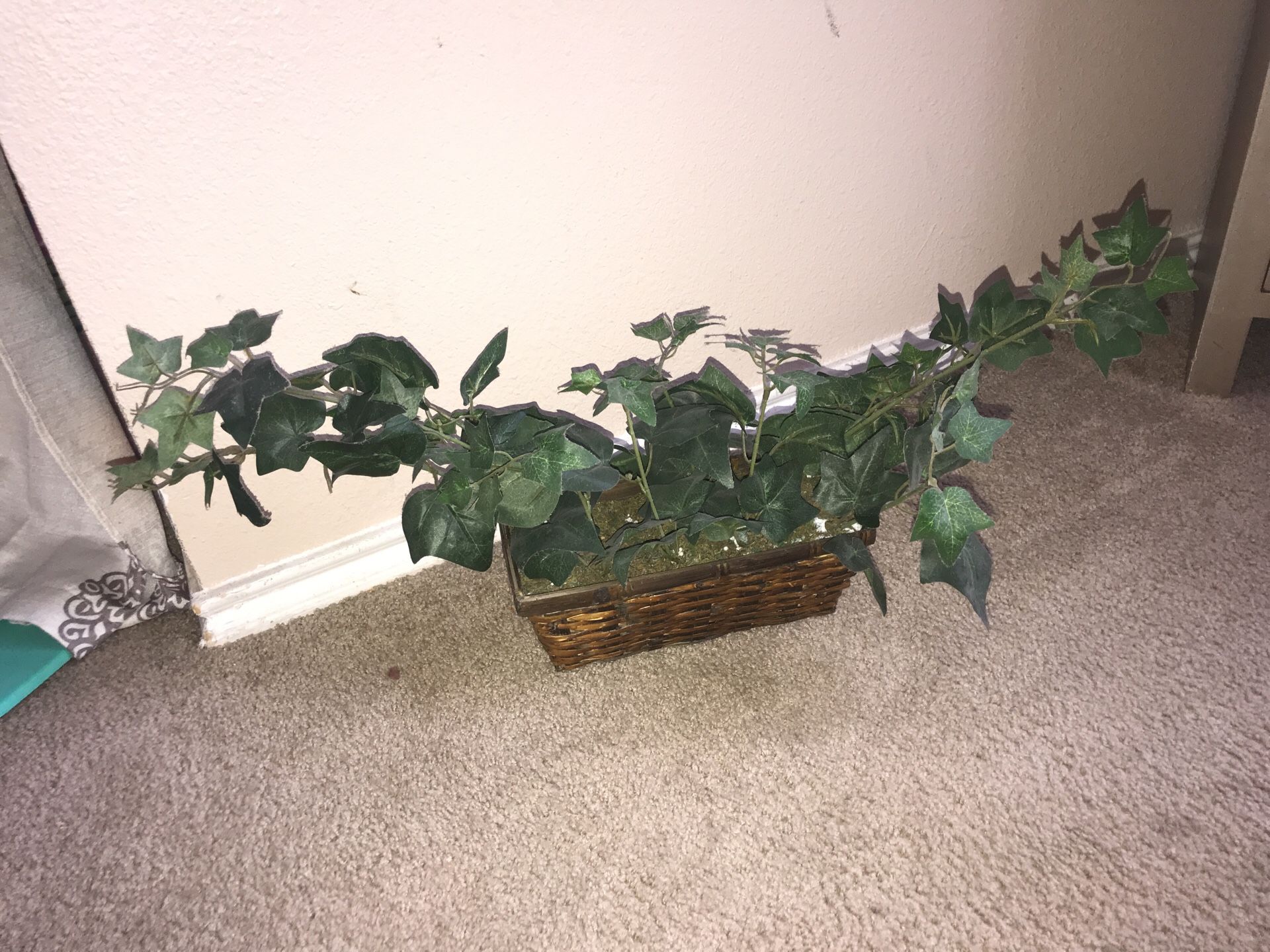 Fake Ivy plants with wicker basket