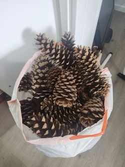 Large bag of natural pine cones