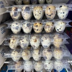 Quail Eggs