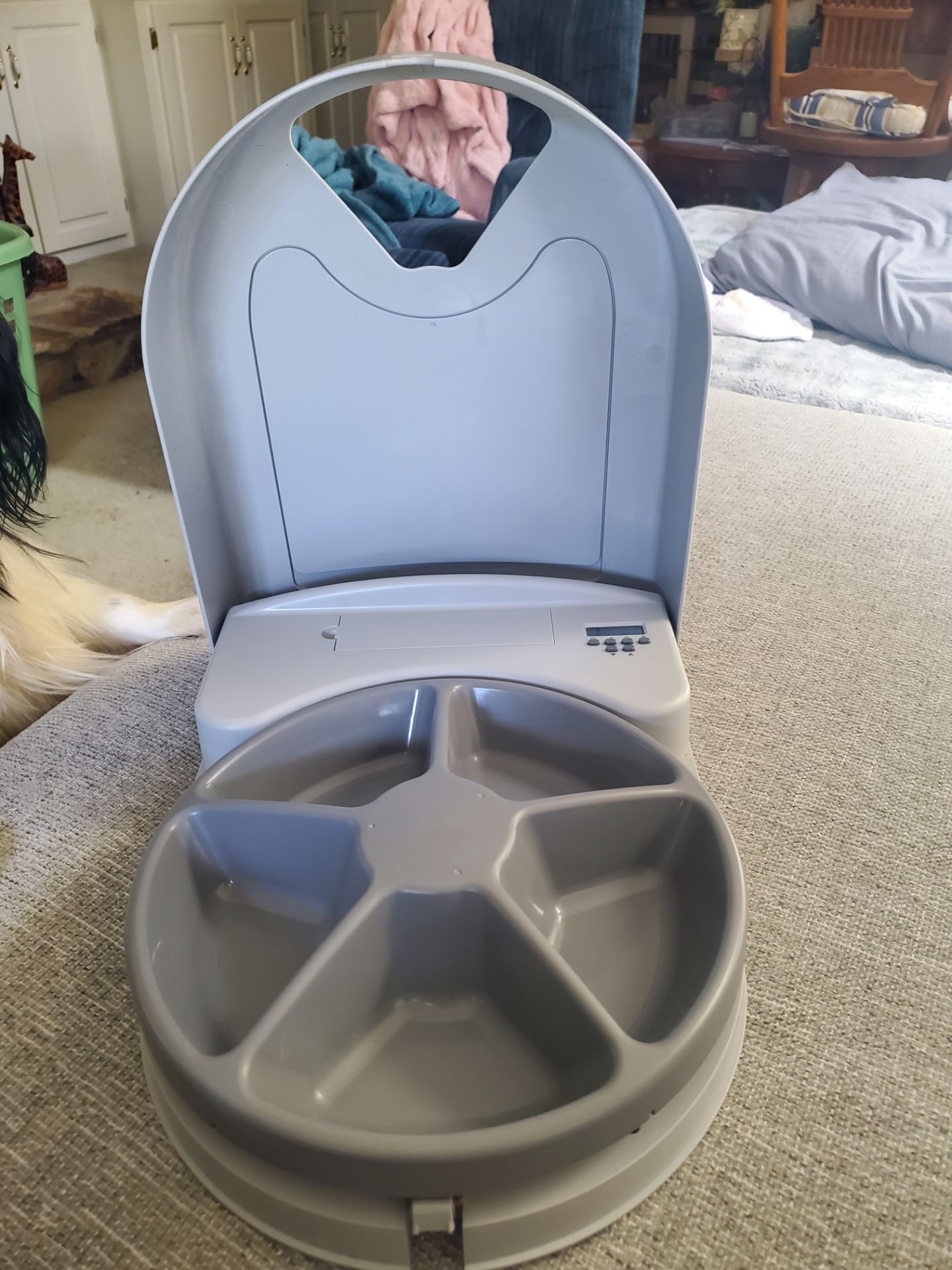 Automatic Pet Feeder