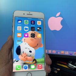 Check Description Santa Ana City 