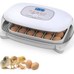 Incubator for Hatching 24-50 Eggs.  NEW IN BOX!