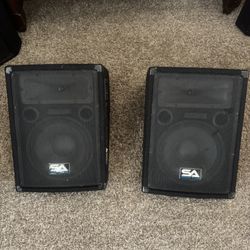 Seismic audio 10” Wedge Floor Monitor