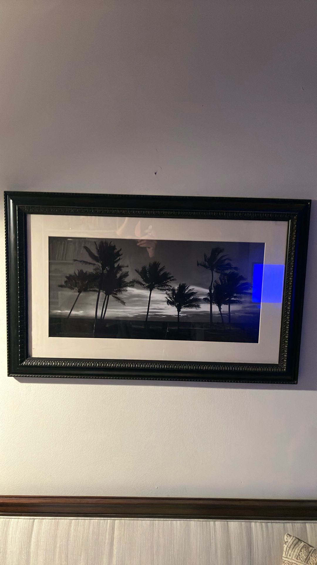 Palm Trees At Dusk