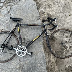 TREK 2100 Composite Full Carbon Fiber 