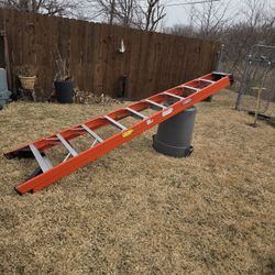 Werner Ladder 10ft 