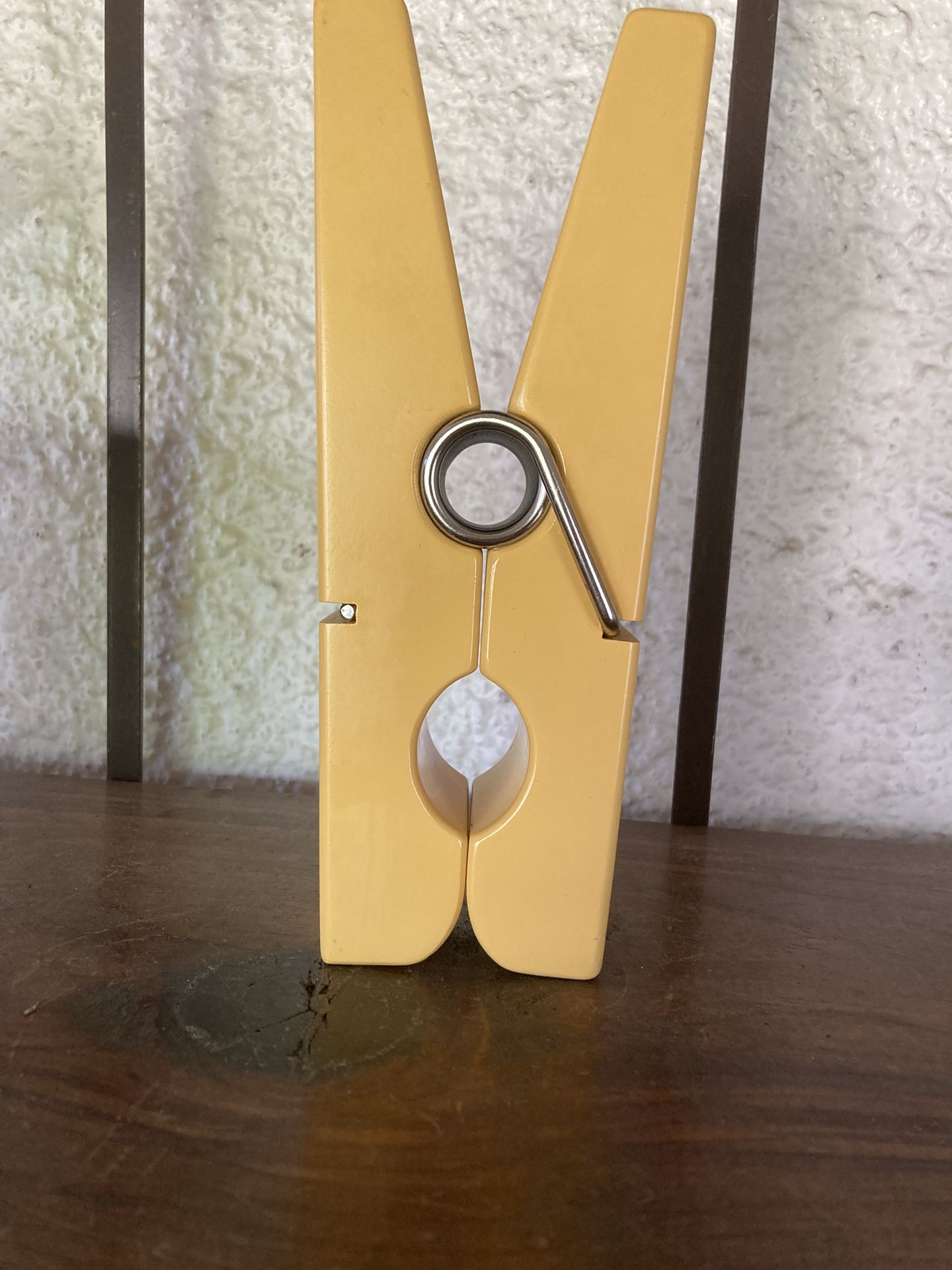Giant Clothespin Older