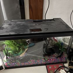  Fish Tank 5 Gallons
