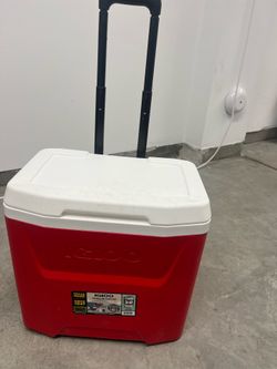 Igloo Cooler
