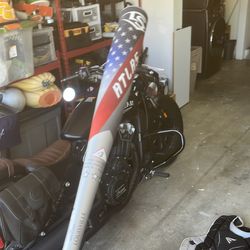 Baseball bat (new)