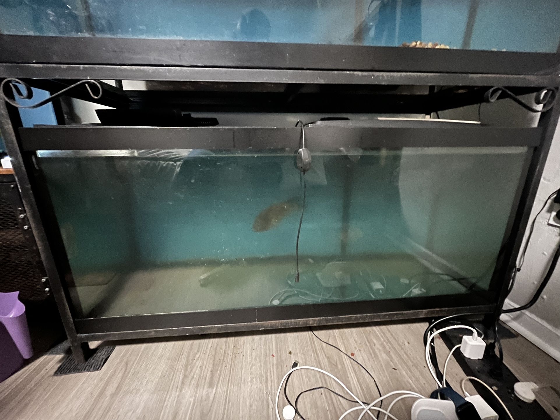 Fish Tank