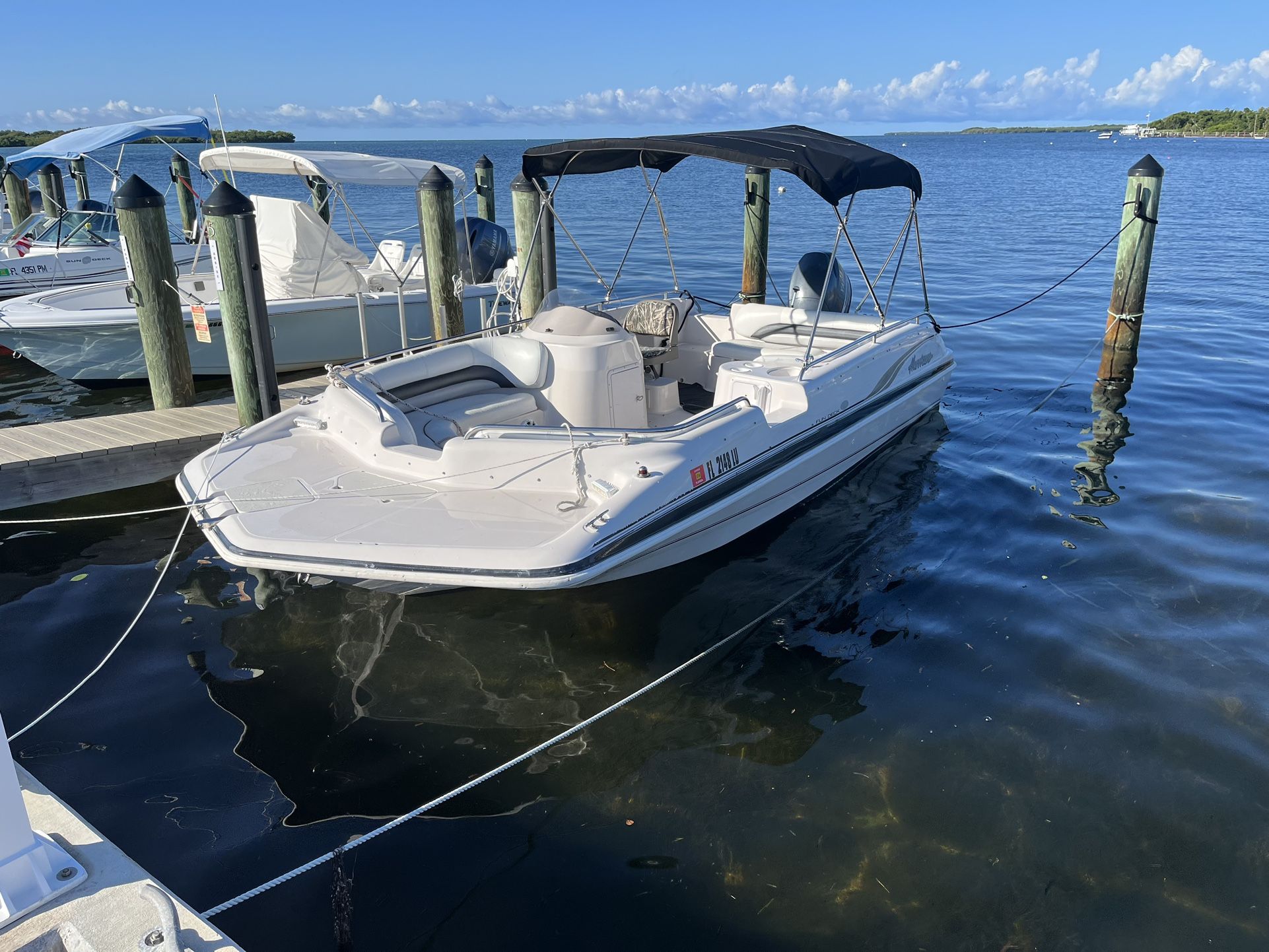  Boat & Trailer for Sale