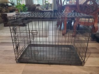 Dog kennel