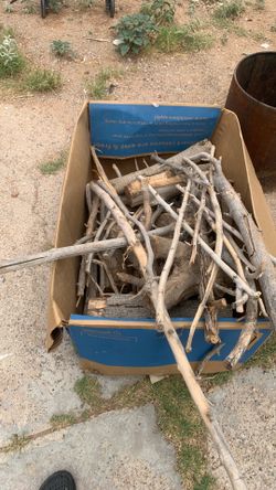 Free fire wood