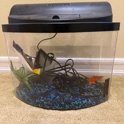 Aquarium  Medium 