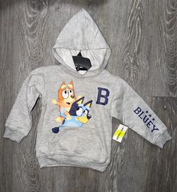 Bluey hoodie sizes 2t and 3t