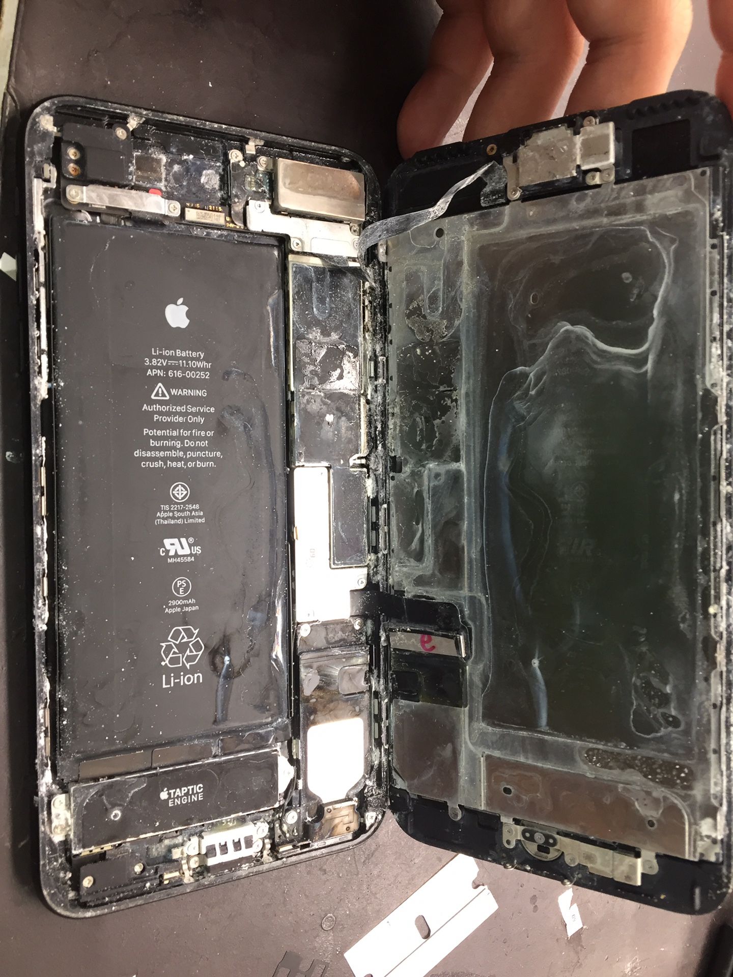 iPhone 7plus water damage