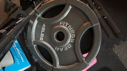 45 Pound Plate (single)