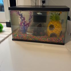 3 Gallon Fish Take Excellent Condition -$15 