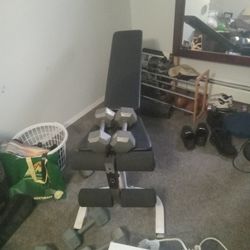 Weight Bench 