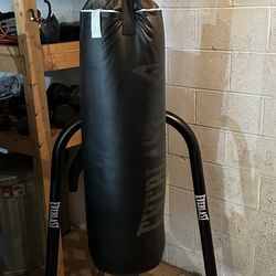 Everlast Punching Bag