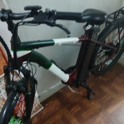 Electric Bike