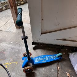 Micro Mini Deluxe Scooter