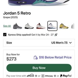 Air Jordan grape 5s size 10