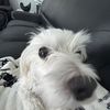 Ellie_x