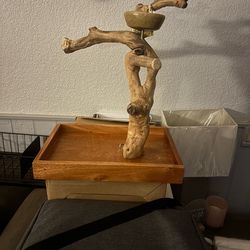 Prevue Pet Products Coffeawood Java Tree Minis Small Table Top Playstand