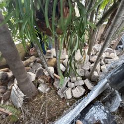 Landscaping Pavers And Large Stones