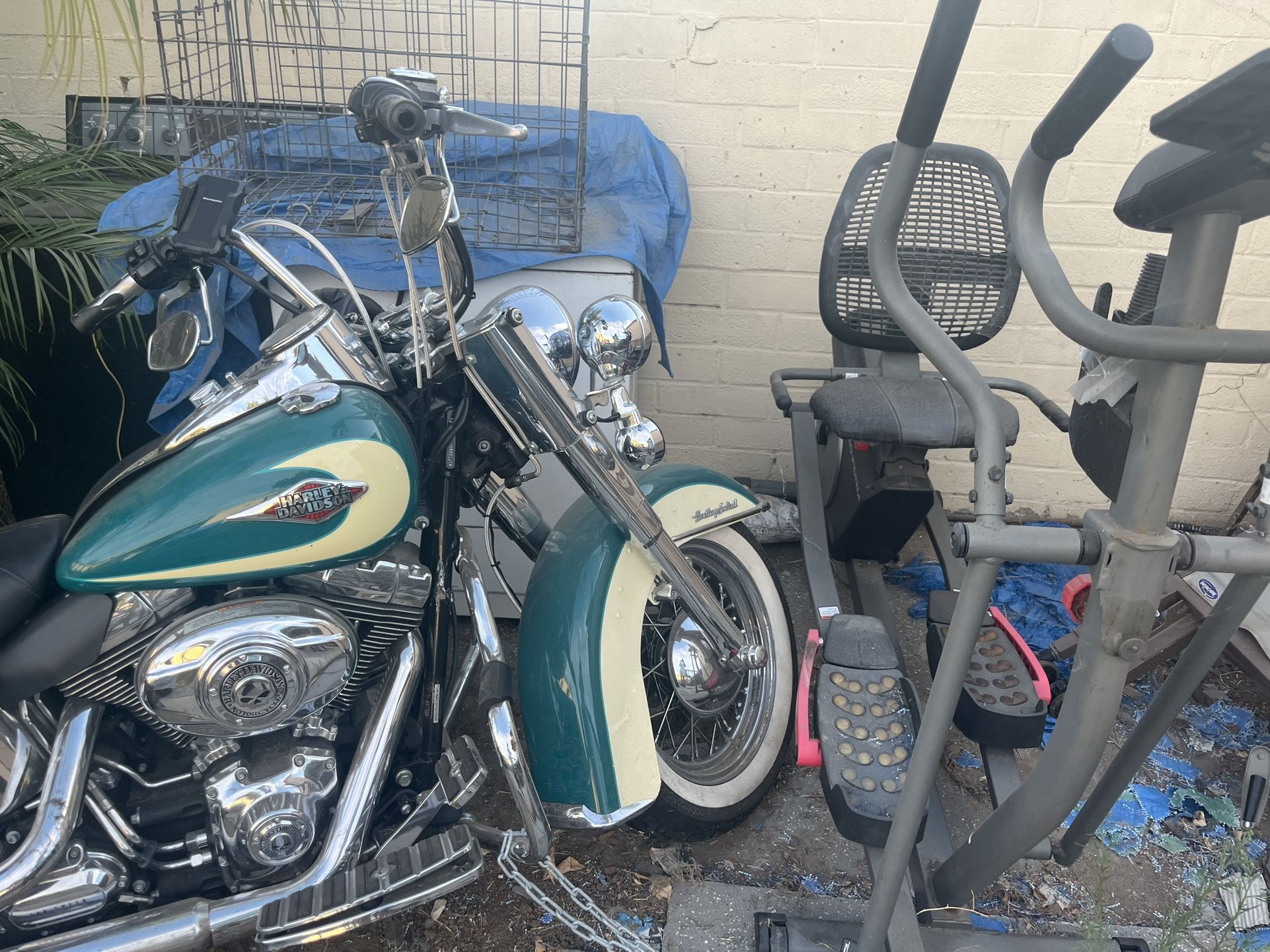 Thaddeus Bike