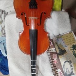 Fish Burn Violin