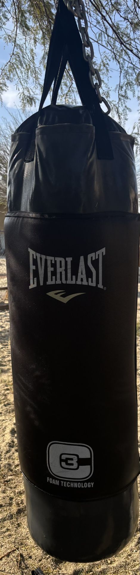 Everlast Punching Bag
