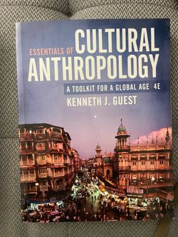 Essentials of Cultural Anthropology : A Toolkit for a Global Age