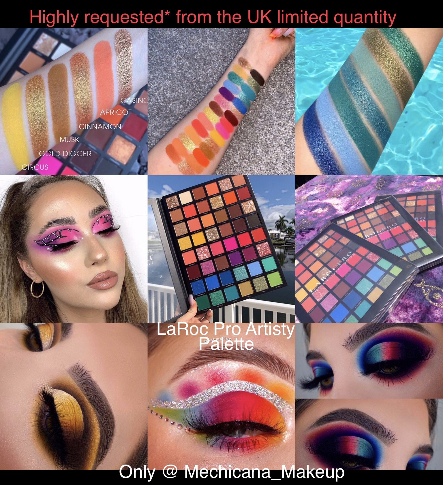 LaRoc Pro Artistry Eyeshadow palette