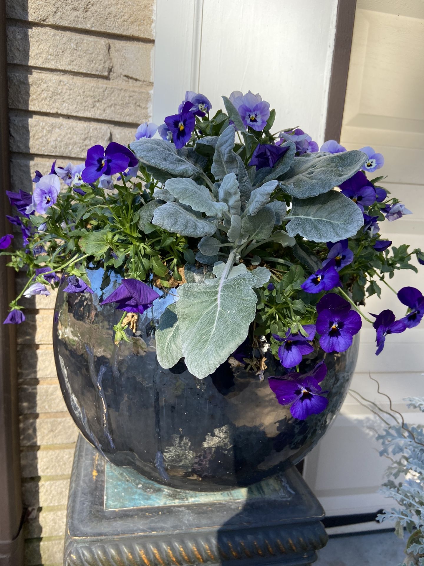 Poted Flowers With Blue Ceramic Pot