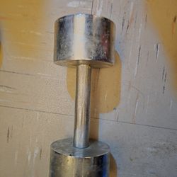 Dumbbell Hand Weight 20lb