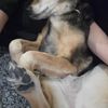 Sam