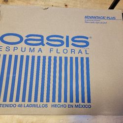 Oasis